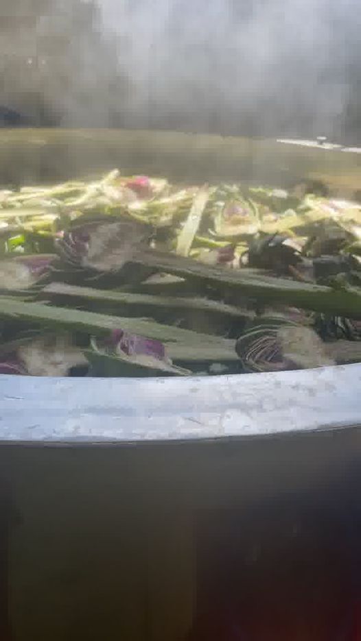 Cao / Trà Hoa Atiso Bảo Khang Đà Lạt