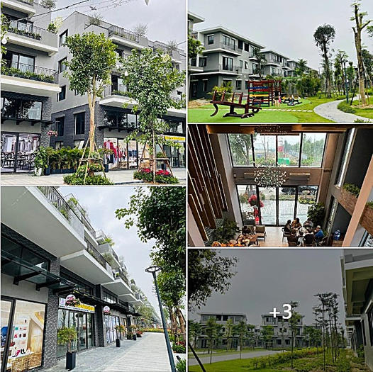 Eco Central Park - Vinh