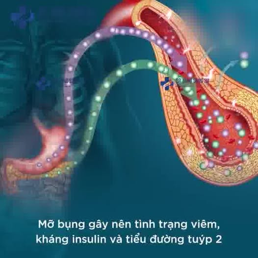 Dr. Jang Sung Su - Viện Giảm Mỡ Chuẩn Y Khoa