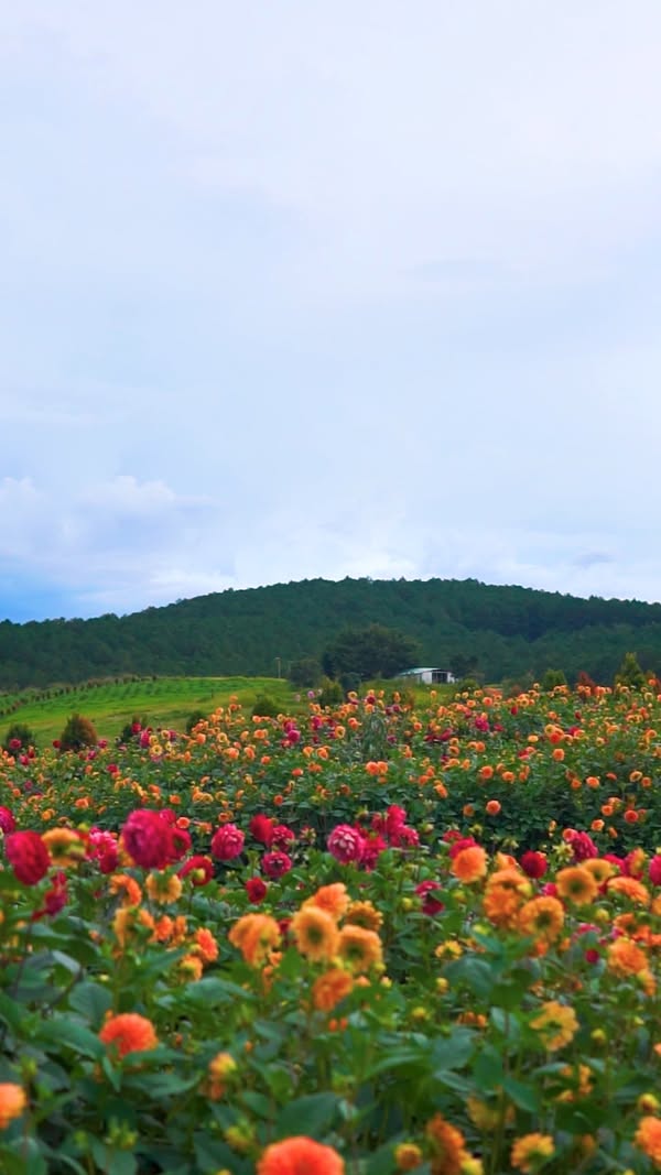 MSB - Ngân hàng TMCP Hàng Hải Việt Nam