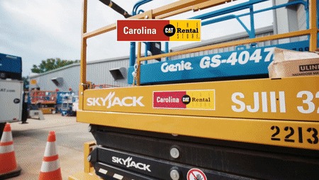 Carolina Cat