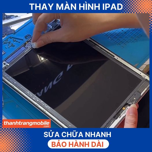 Thanh Trang Mobile - Trung Tâm Sửa Chữa Điện Thoại Di Động - Máy Tính Bảng