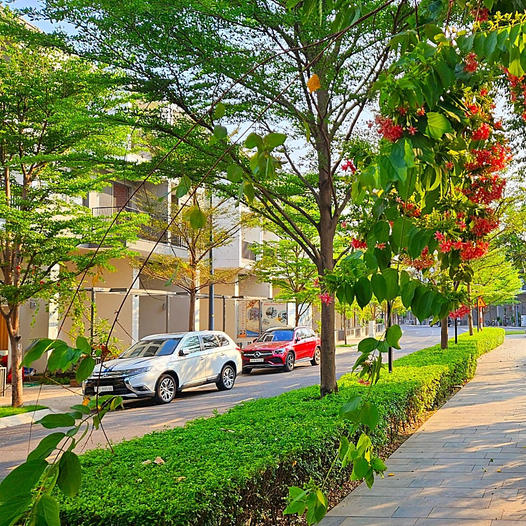 Bất động sản cao cấp Sài Gòn