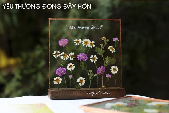 ????? ???? - ???????????