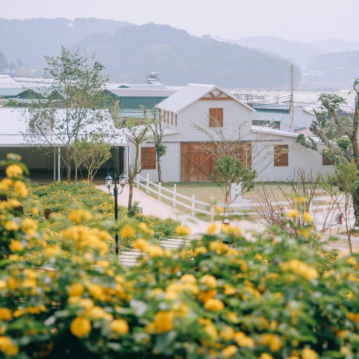 Nông Trại Cún Puppy Farm Đà Lạt