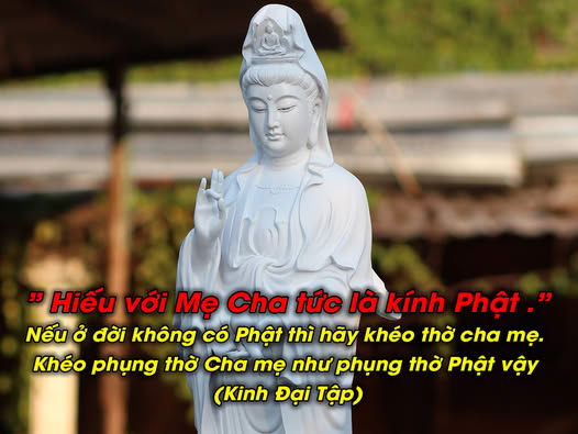 Phật Tử Việt Nam