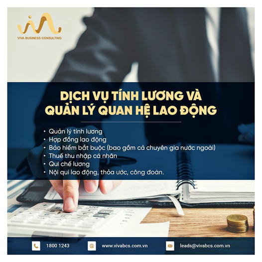 Viva Business Consulting