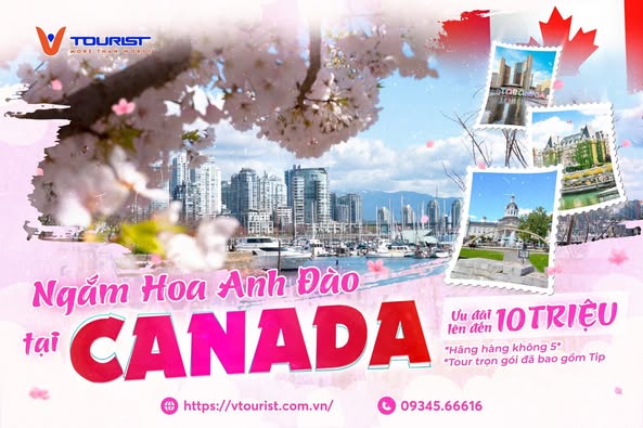 Du Lịch VTourist