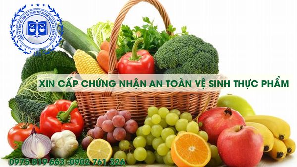 Thành lập doanh nghiệp