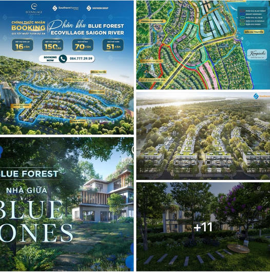 EcoBlue Harmony - Hòa Mình Với Thiên Nhiên Tại BlueForest và EcoVillage