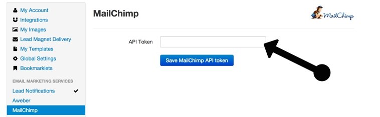 API Code