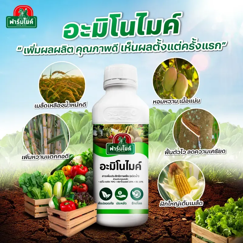 ปุ๋ยฉีดพ่นบำรุงใบ เร่งแตกใบ ฟื้นต้นไว ทนทุกสภาพอากาศ 4