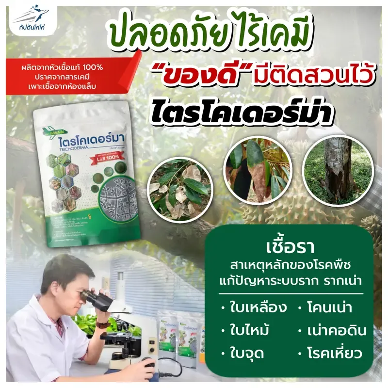 ไตรโคเดอร์มา สูตรเข้มข้น กัปตันไตรโค 5