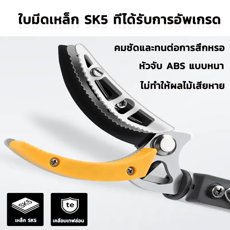 กรรไกรตัดผลไม้ ด้ามยาว ปรับได้ 1.8–3 เมตร 4