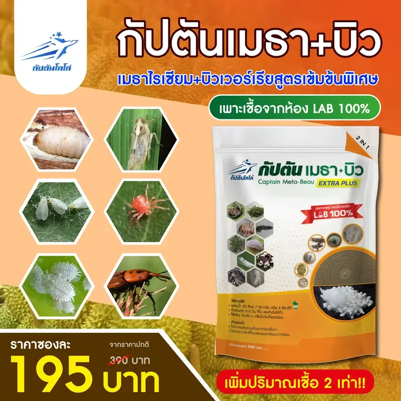  จุลินทรีย์กำจัดหนอน เพลี้ย และแมลงศัตรูพืชหลากชนิด 0