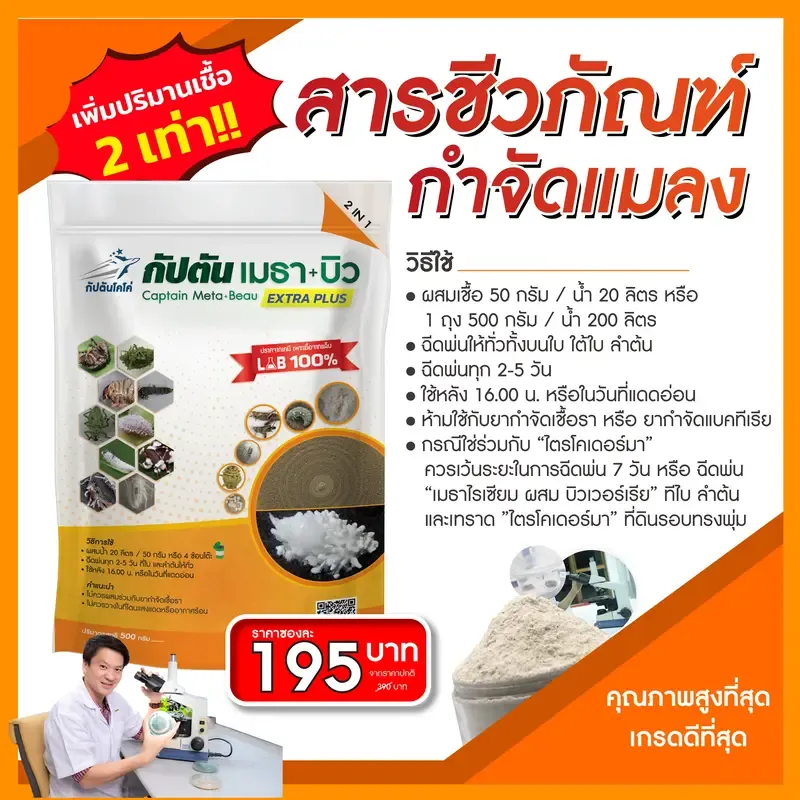  จุลินทรีย์กำจัดหนอน เพลี้ย และแมลงศัตรูพืชหลากชนิด 1