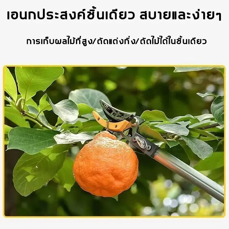 กรรไกรตัดกิ่งไม้ด้ามยาว ปรับความยาวได้ 1.8–4.3 เมตร 2