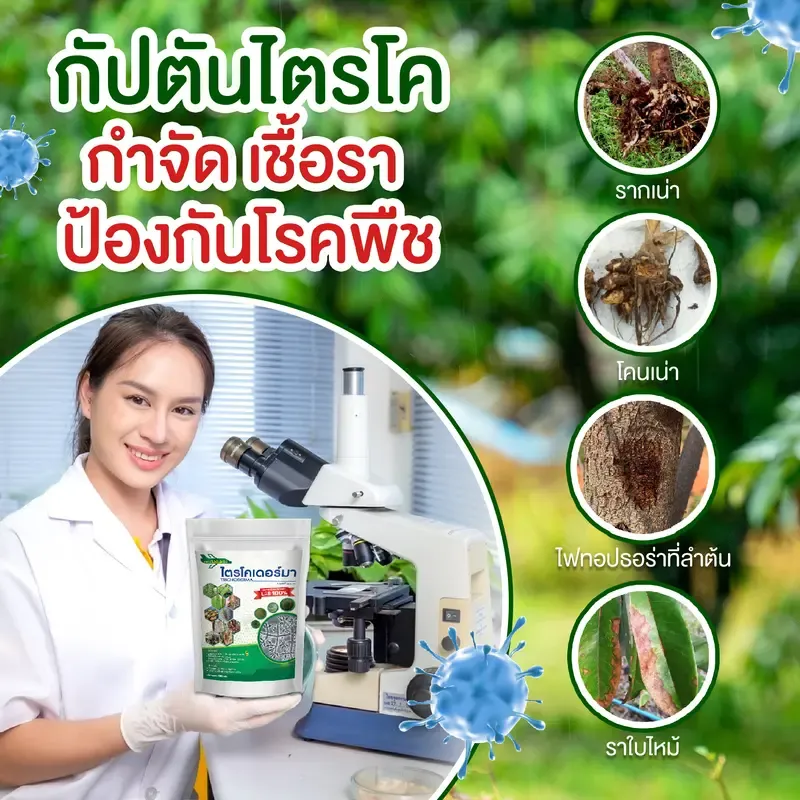 ไตรโคเดอร์มา สูตรเข้มข้น กัปตันไตรโค 4