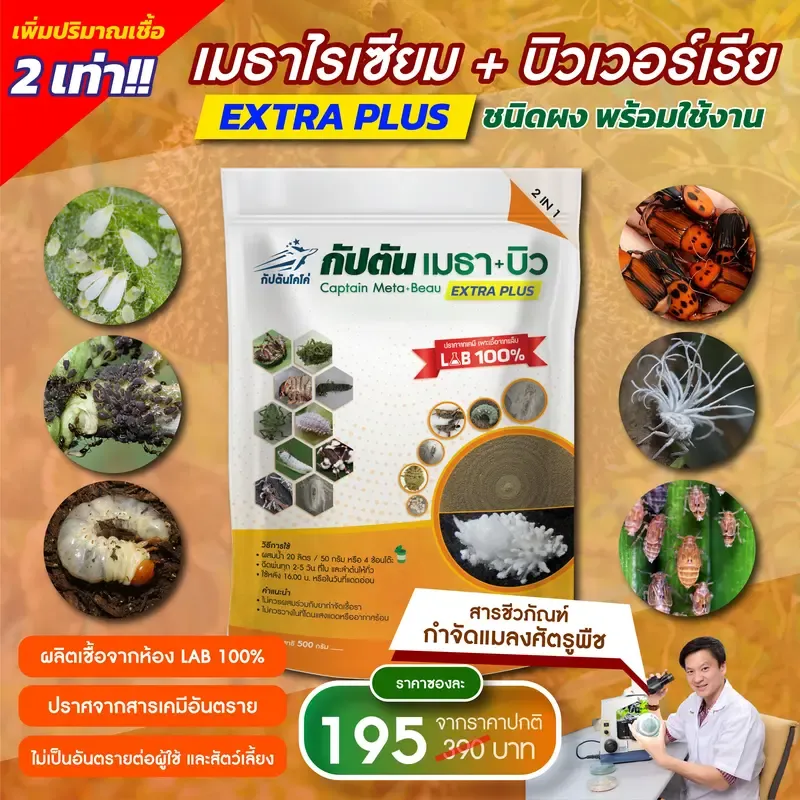  จุลินทรีย์กำจัดหนอน เพลี้ย และแมลงศัตรูพืชหลากชนิด 2