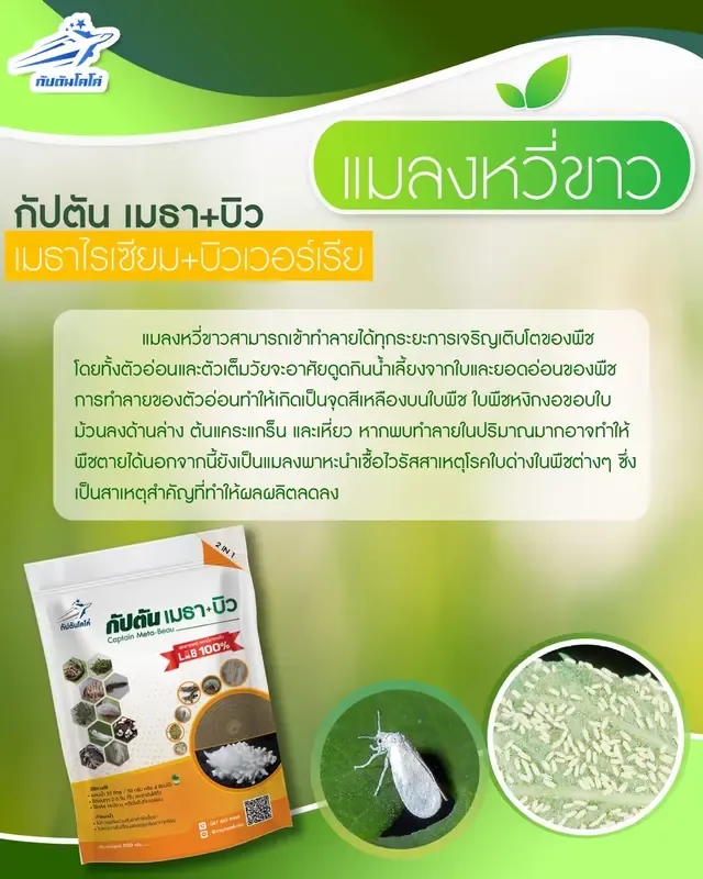  จุลินทรีย์กำจัดหนอน เพลี้ย และแมลงศัตรูพืชหลากชนิด 8