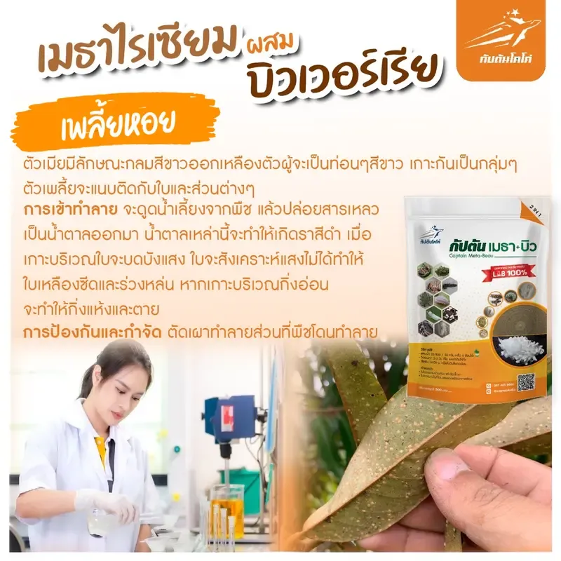  จุลินทรีย์กำจัดหนอน เพลี้ย และแมลงศัตรูพืชหลากชนิด 5