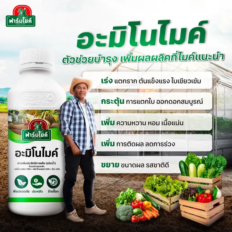 ปุ๋ยฉีดพ่นบำรุงใบ เร่งแตกใบ ฟื้นต้นไว ทนทุกสภาพอากาศ 5
