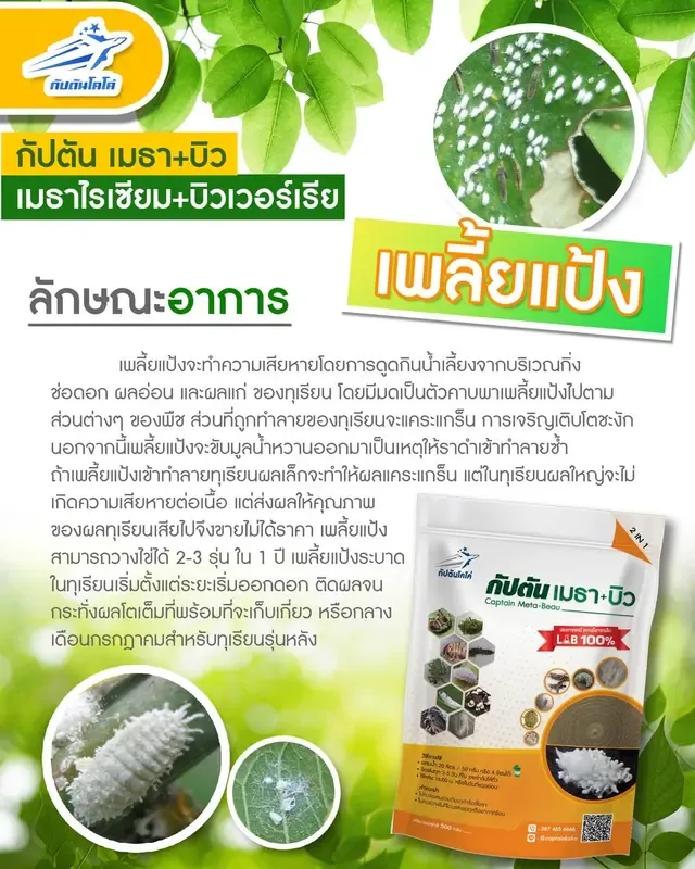  จุลินทรีย์กำจัดหนอน เพลี้ย และแมลงศัตรูพืชหลากชนิด 7