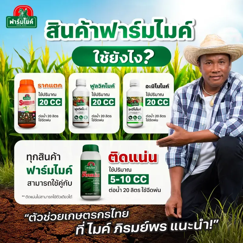 ปุ๋ยฉีดพ่นบำรุงใบ เร่งแตกใบ ฟื้นต้นไว ทนทุกสภาพอากาศ 3