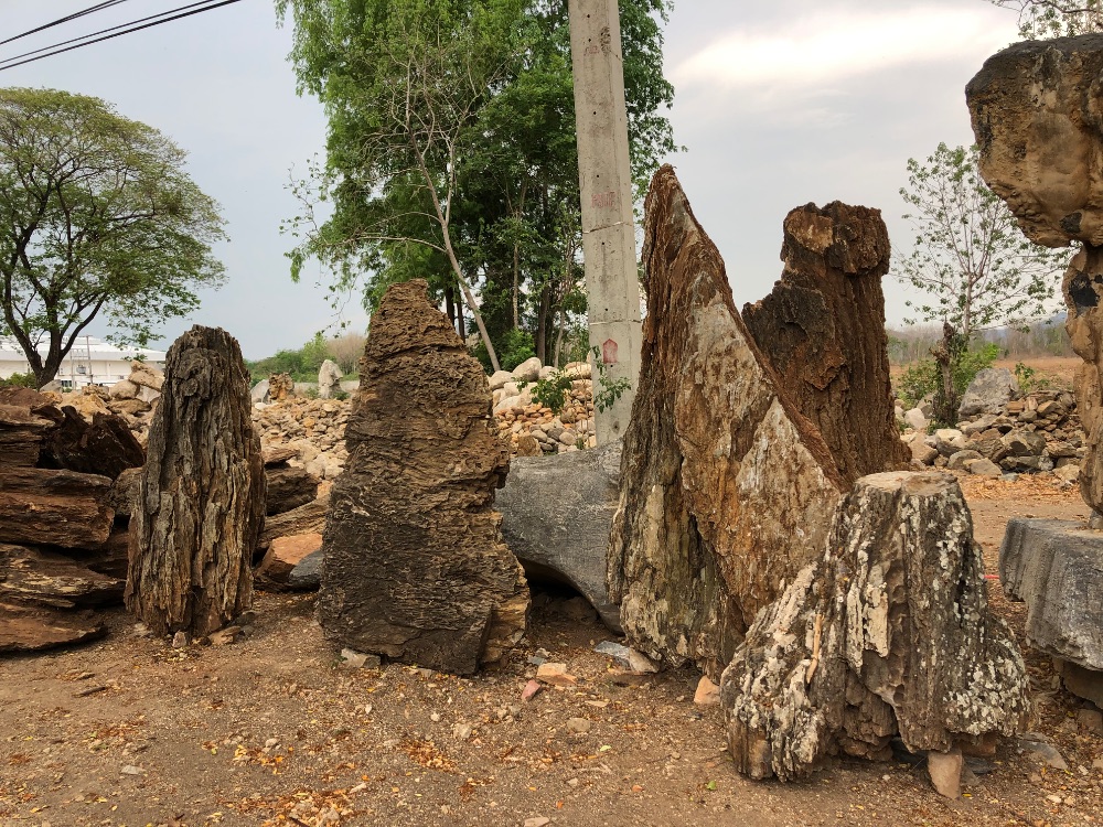 หินชั้นภูเขา 6