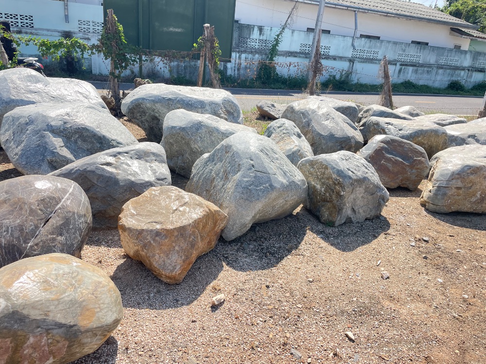 หินหลังเต่าธรรมชาติ 5