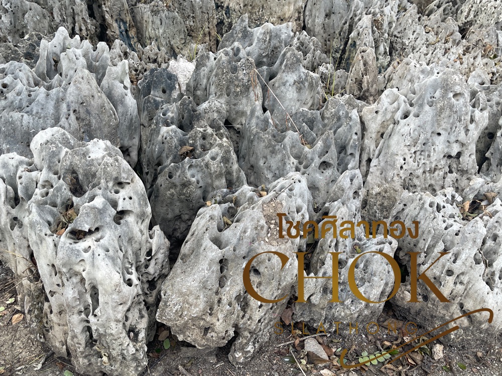 หินปะการัง 1