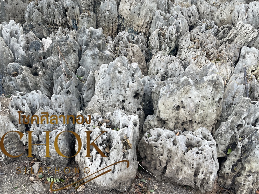 หินปะการัง 0