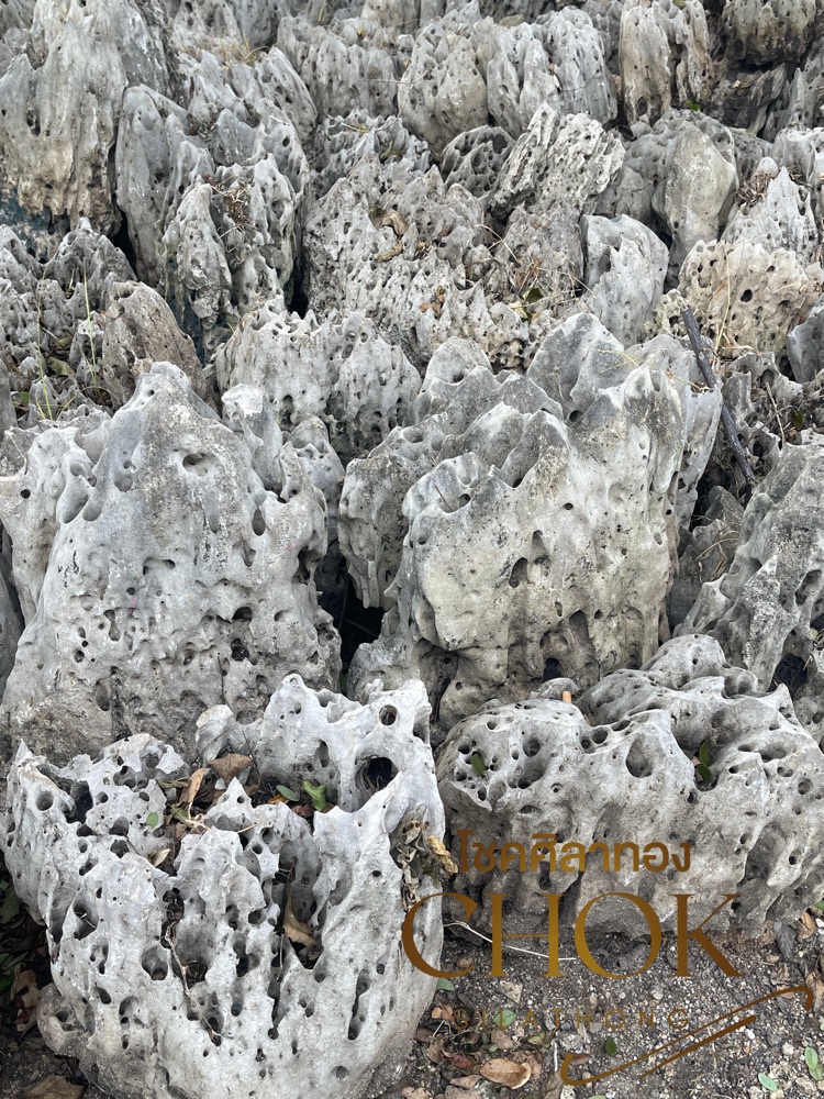 หินปะการัง 2