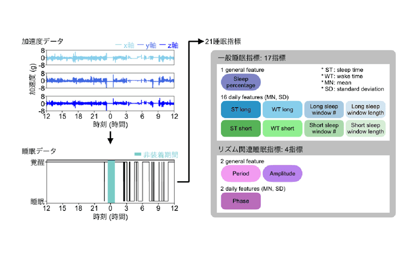 東京大学ら、人間の睡眠パターンは16種類に分類できると発見 約10万人の睡眠データを解析でのサムネイル画像