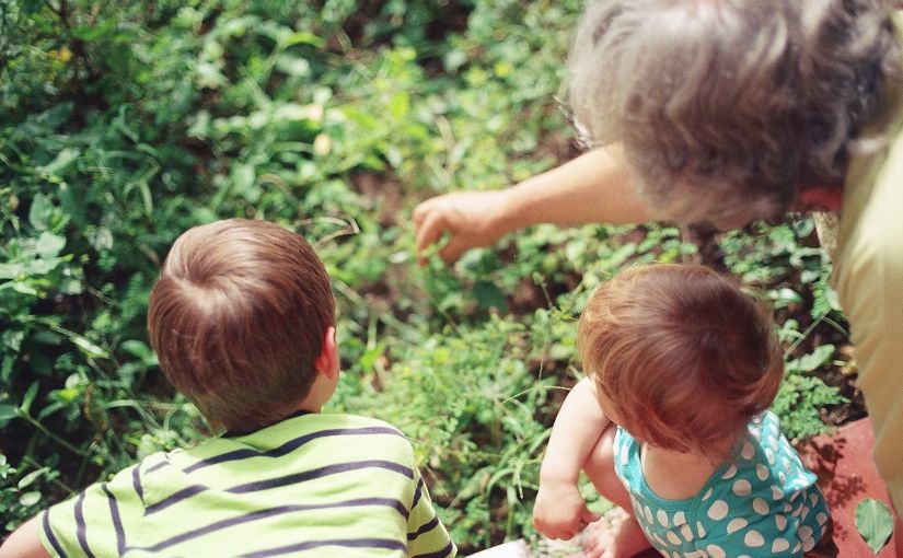 自然言語処理モデル「BERT」の日本語版事前学習モデルが無償公開 商用利用も可のサムネイル画像