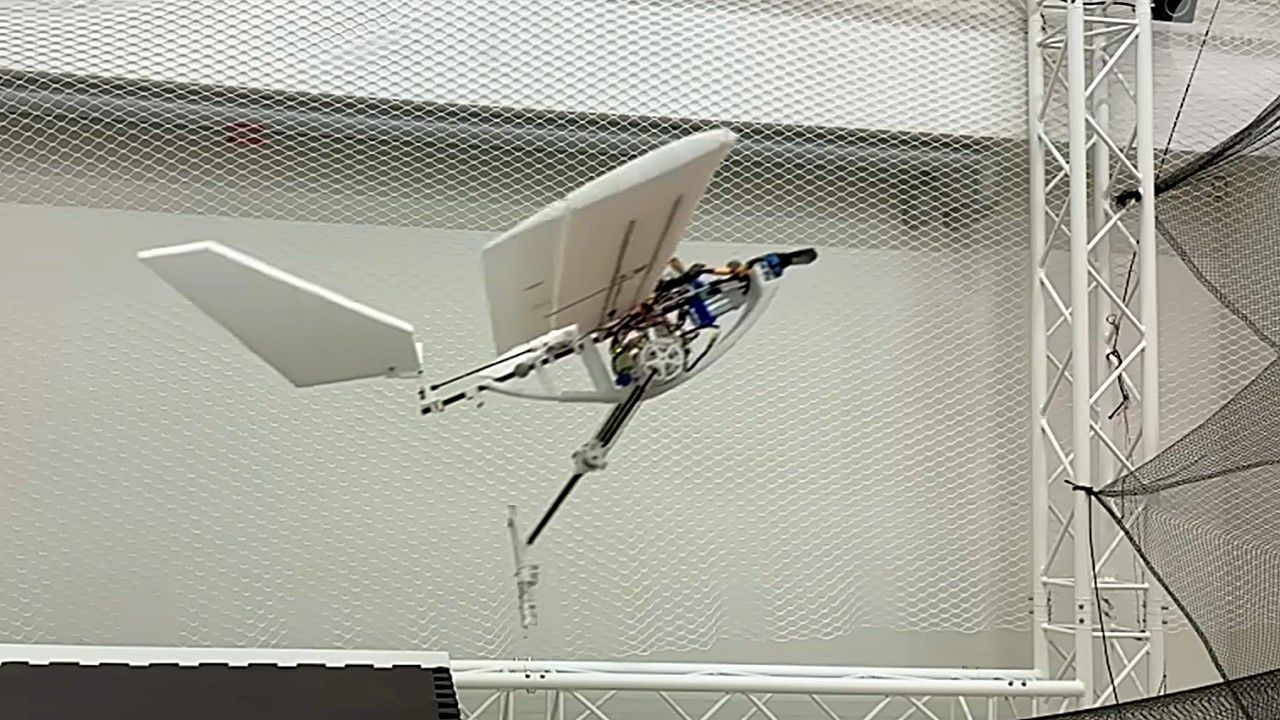 空陸両用ドローン「RAVEN」の開発:鳥類に学ぶ多環境適応型ロボット技術ーースイス連邦工科大・カリフォルニア大学の研究のサムネイル画像