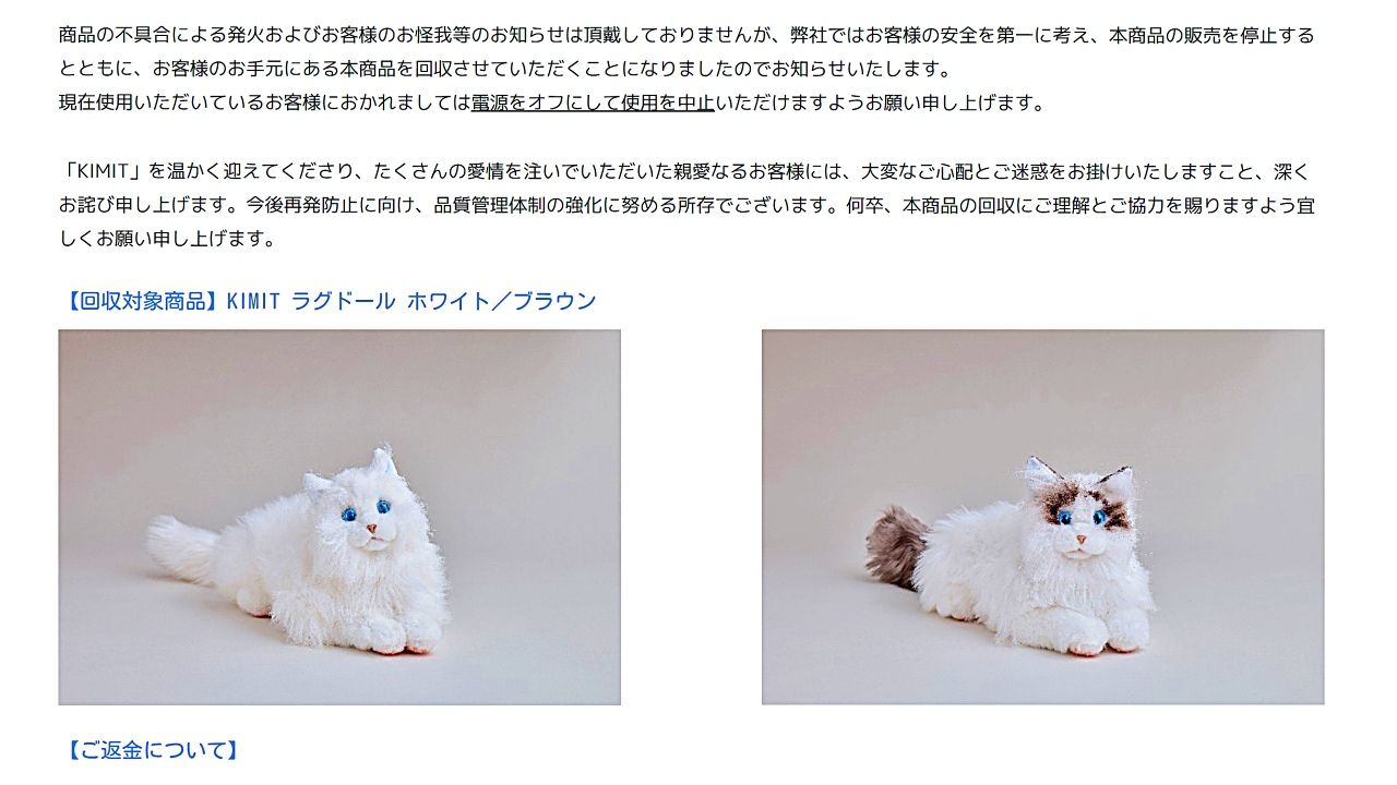 セガフェイブ　リアルなAI猫ロボット「KIMIT ラグドール」不具合による商品回収と全額返金を発表　「電源をオフにして使用を中止を」のサムネイル画像