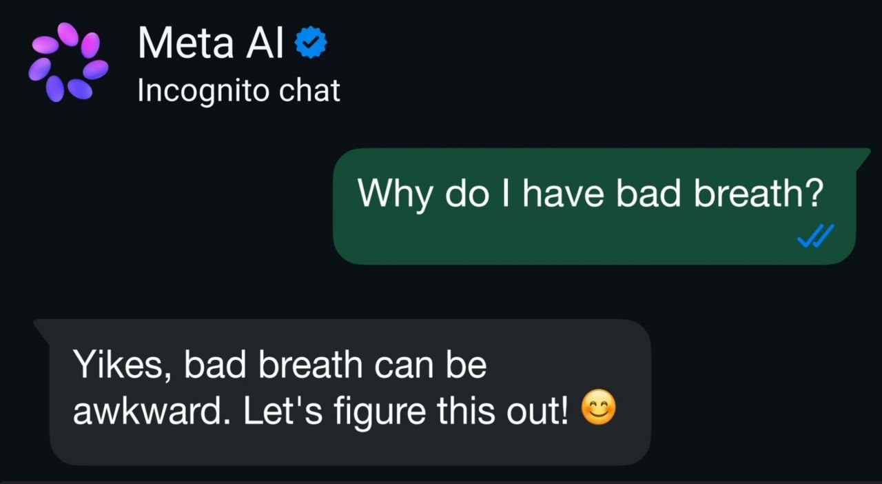Meta、AIとの会話を「完全プライベート」に　WhatsApp向け新機能「Incognito Chat」発表のサムネイル画像