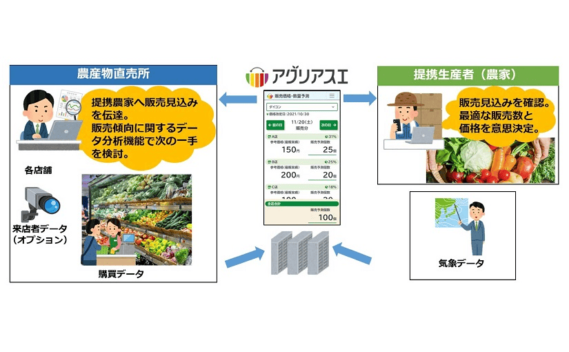 独自AI需要予測サービス「アグリアスエ」で経営安定性UP｜類農園のサムネイル画像