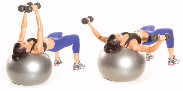 bài tập chest fly là 1 cách tập cơ ngực