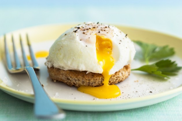 protein trong trứng