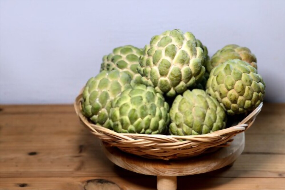 Lựa chọn và bảo quản quả na