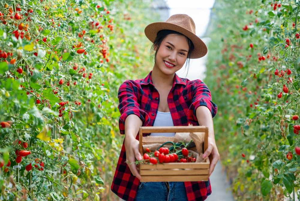 7 Popular Types of Tomatoes (and How to Use Them)