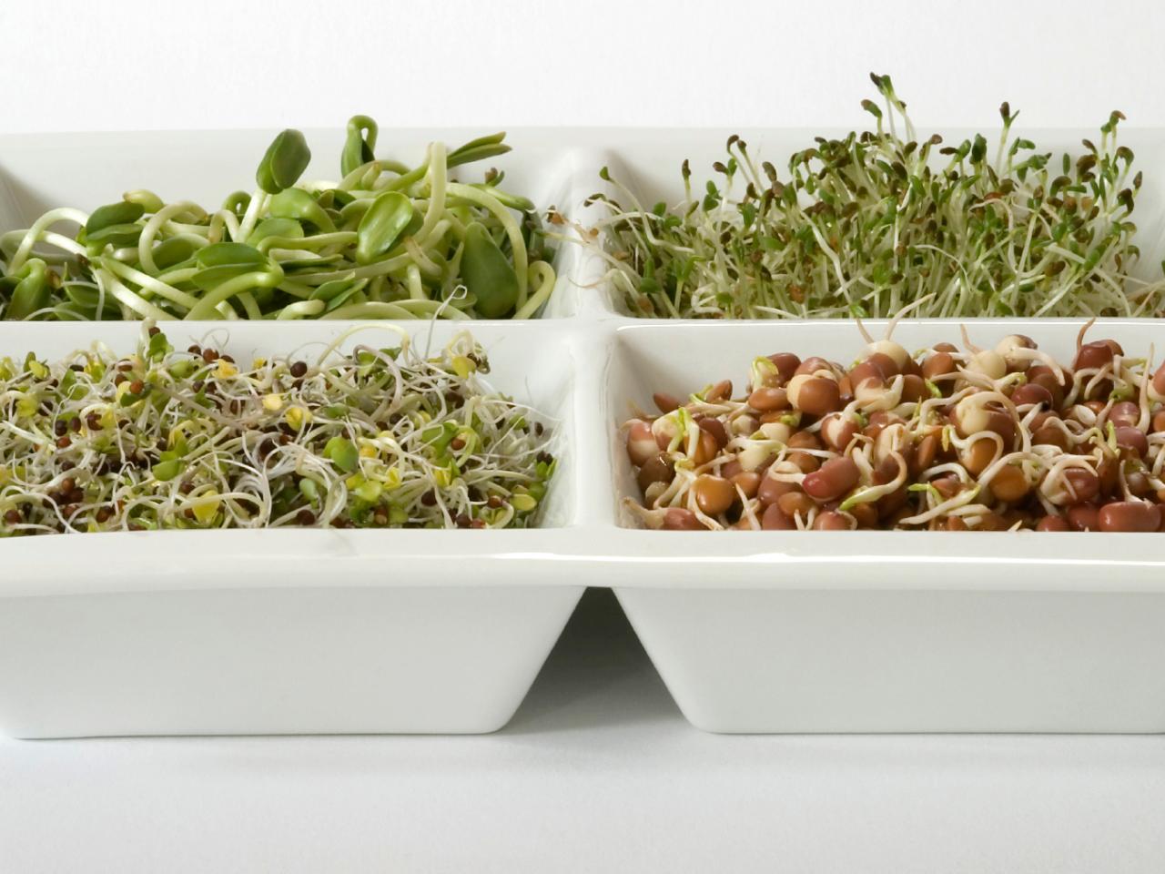 Thông tin tổng quan về rau mầm