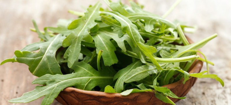 Rau arugula 