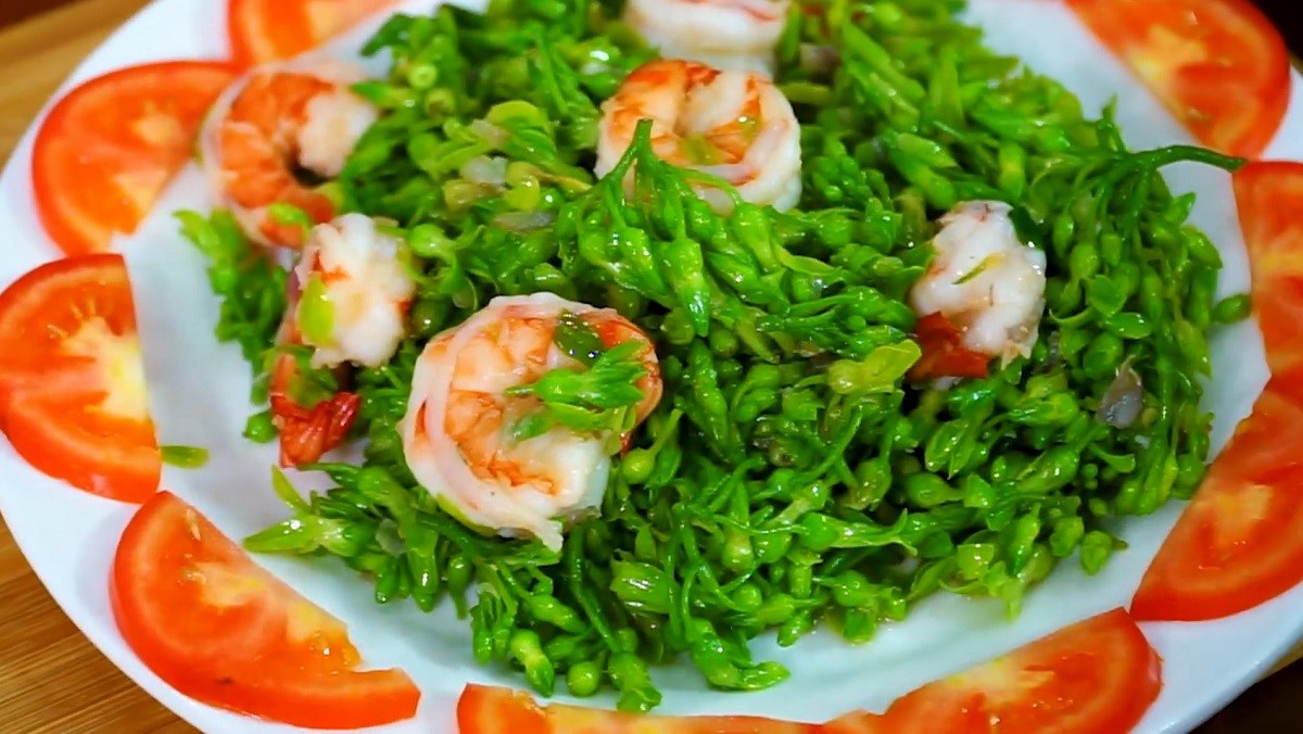 Thông tin tổng quan thiên lý