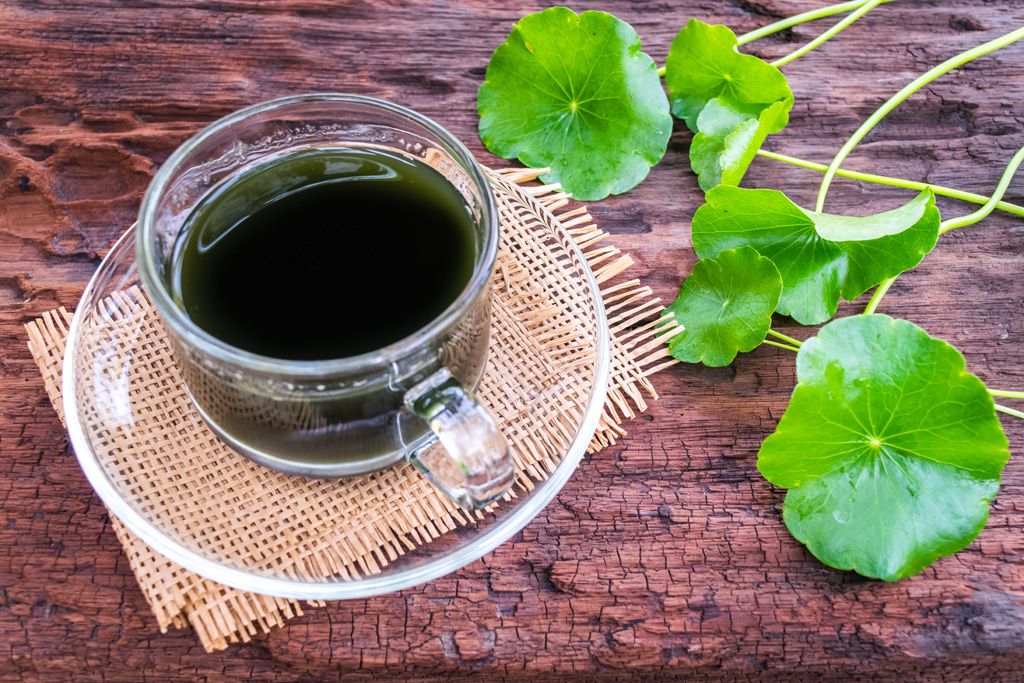 Thông tin tổng quan rau má