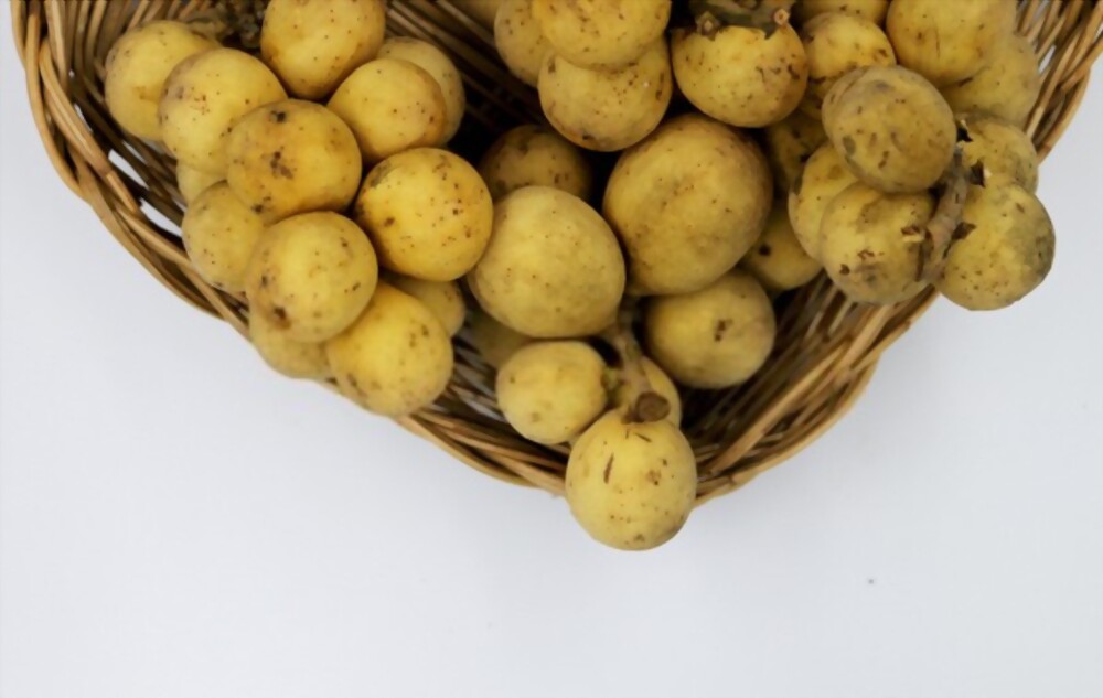 Tổng quan về bòn bon