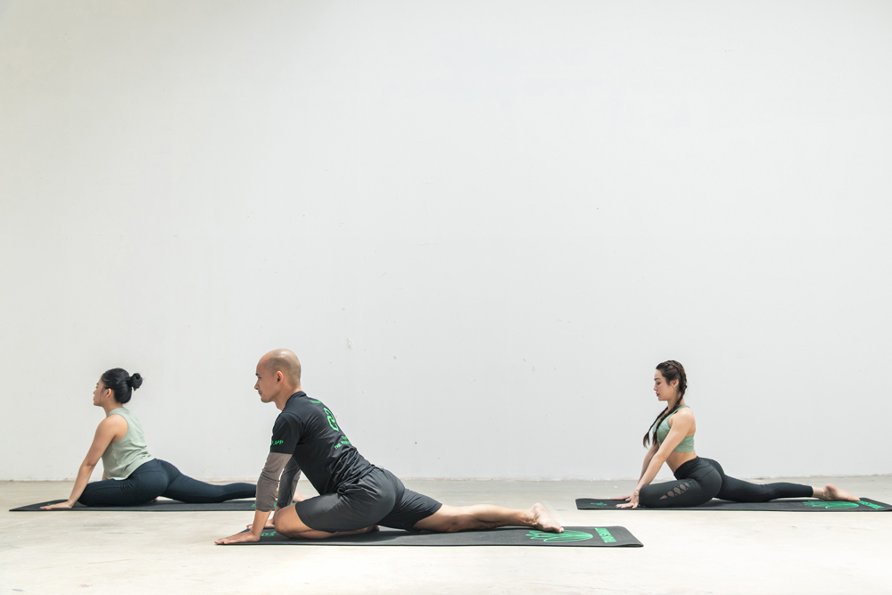 tu thế chim bồ câu