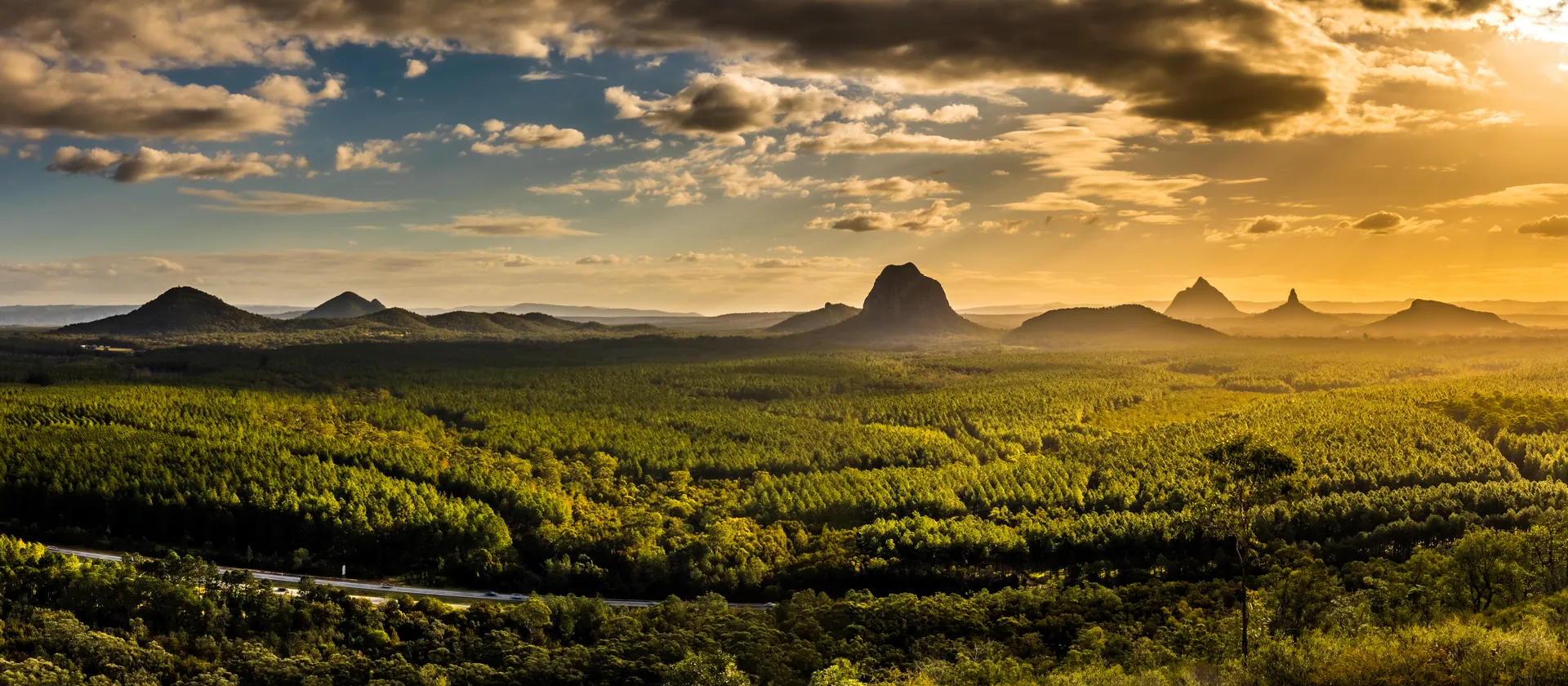 Glass House Mountains forest drives, Sunshine Coast hinterland (Beerburrum and Beerwah state forests)